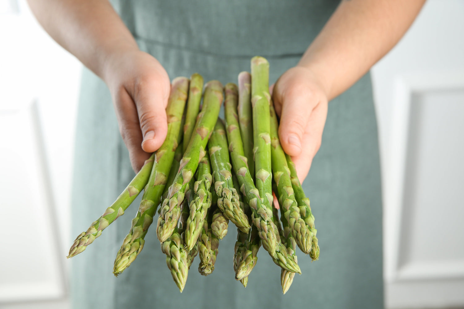 Spring Asparagus: The Best Way to Prepare It and a Recipe
